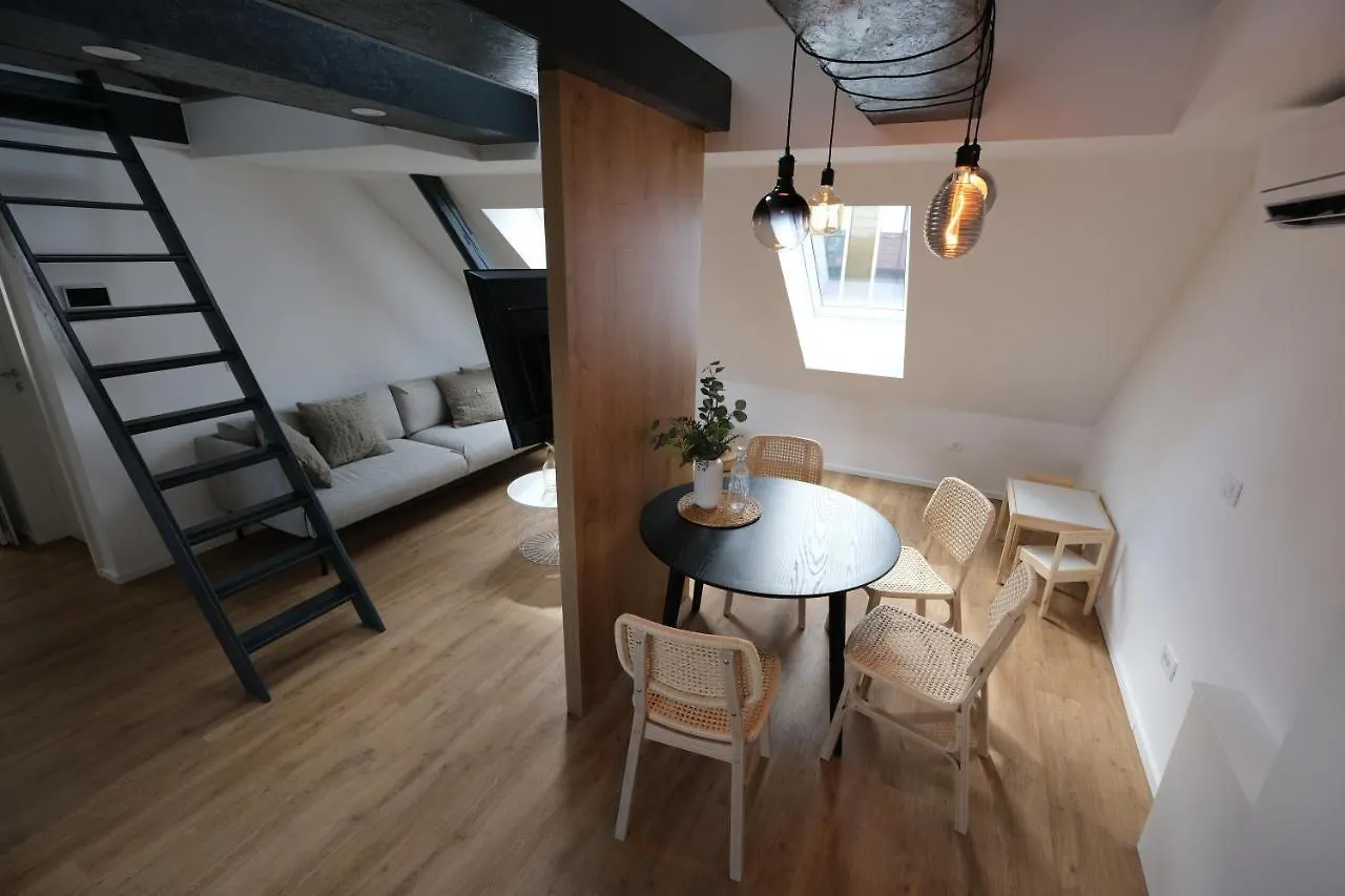 Apartments Emona Free Parking & Gym Ljubljana